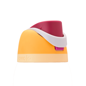 ?Replacement Lids - Citrus Crush
